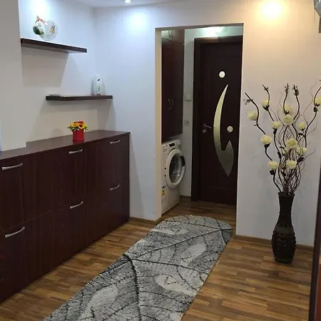 Noah * Κραϊόβα