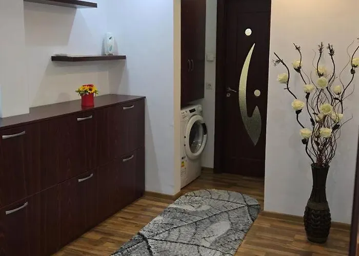 Noah * クラヨーヴァ